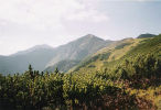 Widok na Starorobociaski Wierch (2176 m) z okolic Trzydniowiaskiego Wierchu