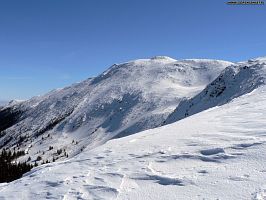 Babia Gra (1725 m) - Krlowa Beskidw