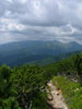 Tatry Zachodnie ze szlaku na Krywa