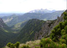 Widok na pnocny-wschd ze szlaku przez wistwk. Z tyu najwysze szczyty Tatr Bielskich - od lewej: Hawra (2152 m), Paczliwa Skaa (2142 m) i Szalony Wierch (2061 m), nieco bliej gra Szerokiej Jaworzyskiej (2210 m). W dole z lewej Dolina Roztoki.