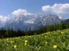 Wiosna w Dolomitach - przed jeziorem Misurina